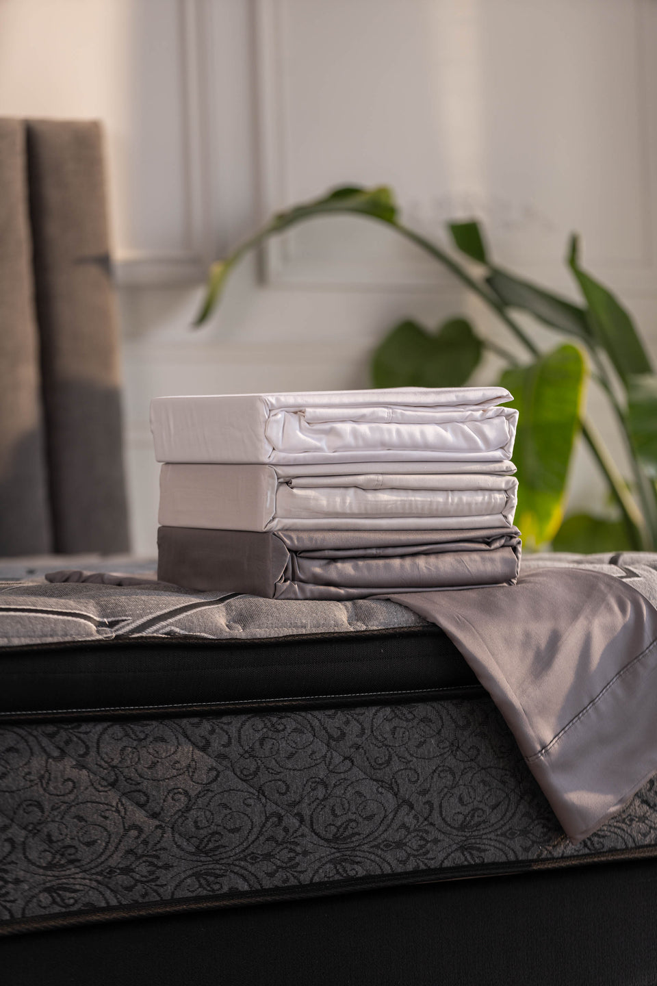 Draps 100% Bambou biologique certifié